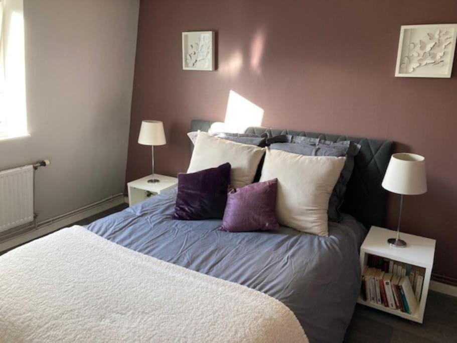 Agreable Et Spacieuse Maison Centre Ville Saint-Omer Exterior foto